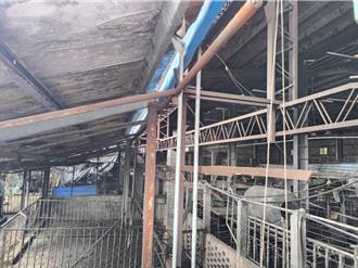 遭列問題養豬場關聯場！彰化芬園爆4死豬 採驗結果最快明出爐