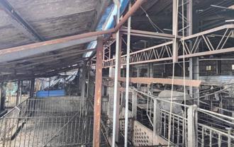 快訊》彰化養豬場4豬暴斃 排除感染非洲豬瘟