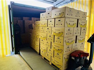 高雄香蕉出口新加坡 農業局盼每年20噸穩定出貨