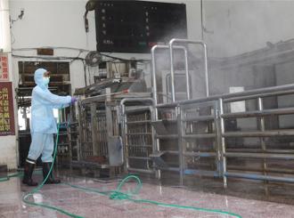 竹縣198養豬場疫調全過關 籲中央簡化動物屍體掩埋程序