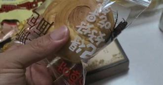 袋裝麵包見「蟑螂亂竄」！超強生命力遭疑：密閉空間能活？