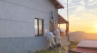 桃園捕蜂捉蛇義消 近半會過敏