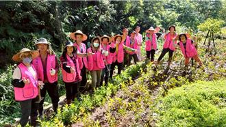 新北社區綠美學競賽 評選18組優勝社區