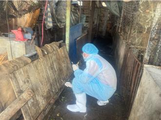 防堵非洲豬瘟擴散 杜文珍親赴台中案例場：清消很不理想
