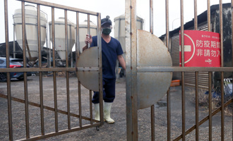 竹縣養豬場第2輪疫調無異常 禁廚餘改餵飼料、豆渣