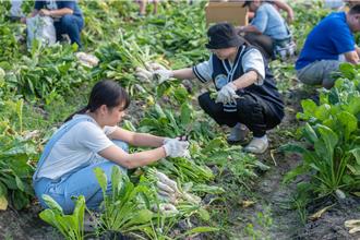 美濃白玉蘿蔔迎豐收！跨界登五星餐桌展產地魅力