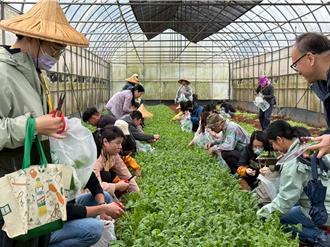 環教結合AI 桃園環保局推創意行銷工作坊