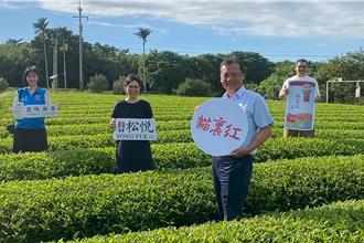 《豐味苗栗》貓裏紅 茶香登上新加坡五星餐桌