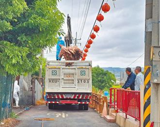 非洲猪瘟爆黑数？实拍猪只数量与编号不符 中市府曝原因