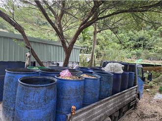 泰山養豬場餵廚餘 可開罰8萬 侯友宜撂重話