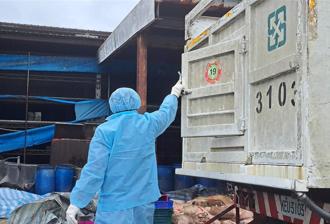 台中爆非洲豬瘟 化製場三聯單遭塗改 市府：檢調偵辦中
