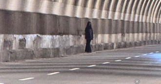 议员助理遭吓成新闻 网友：小插曲被放大？