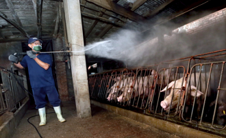 防治非洲瘟豬   國民黨醫療委員會：邊境把關、阻絕境外 中央地方一起來