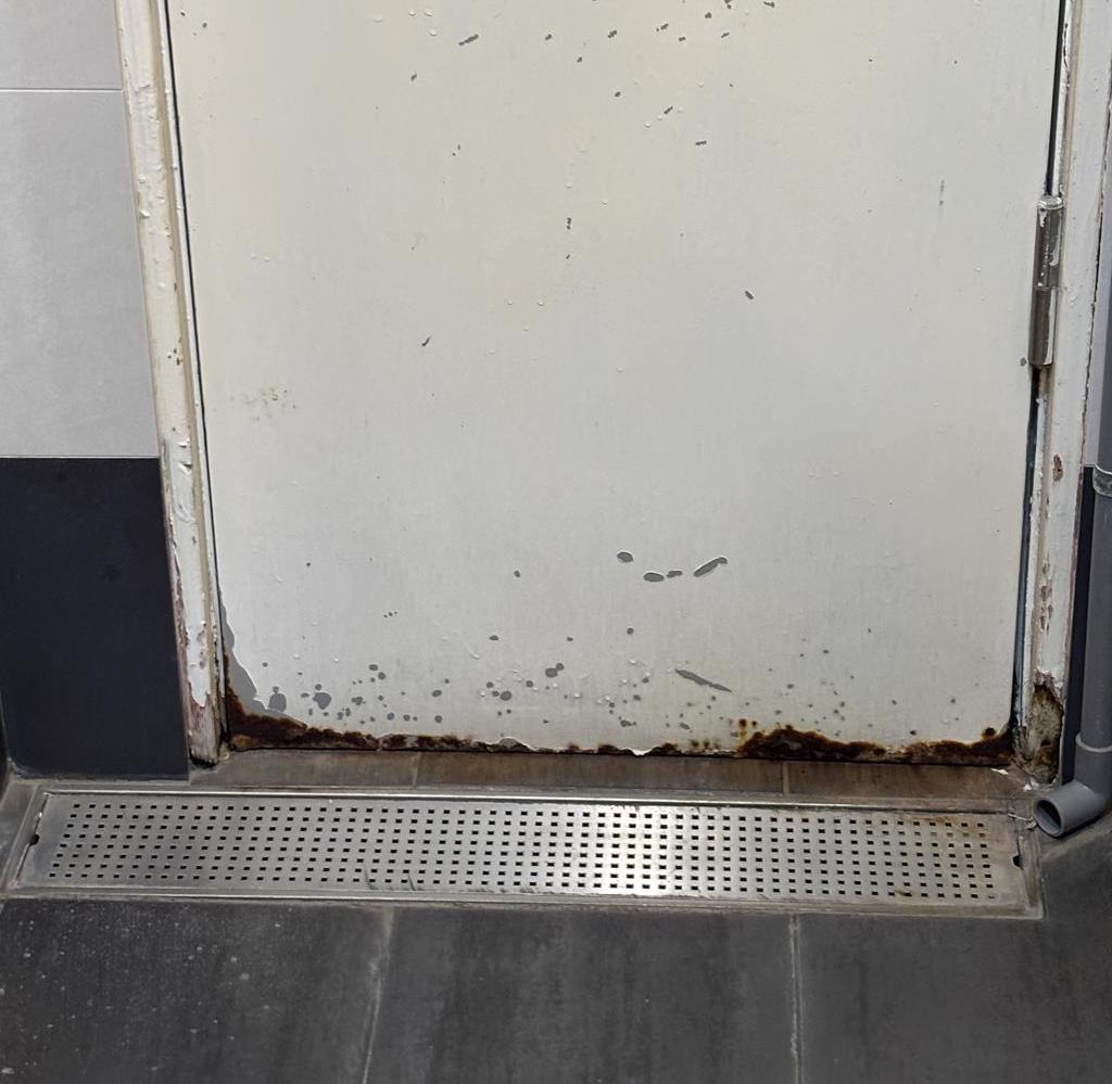 獨家》故宮百年展遭爆廁所生鏽 民眾怒：丟臉丟到國外