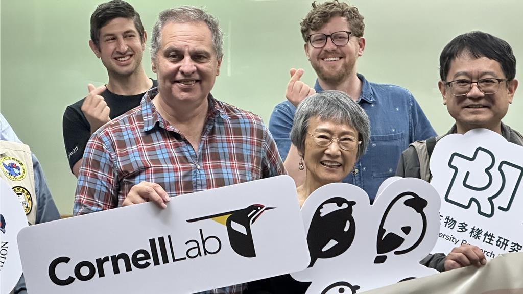 eBird Taiwan十周年！138萬筆鳥類資料「貢獻排第7」助保育