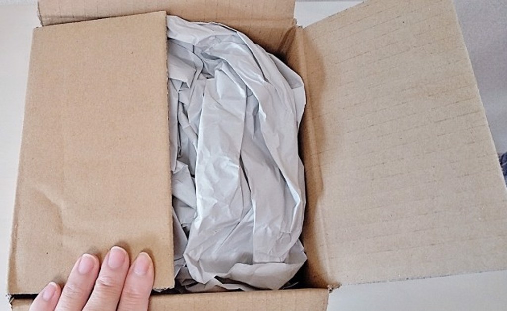 印度郵政採用永續包裝　推動綠色物流轉型！