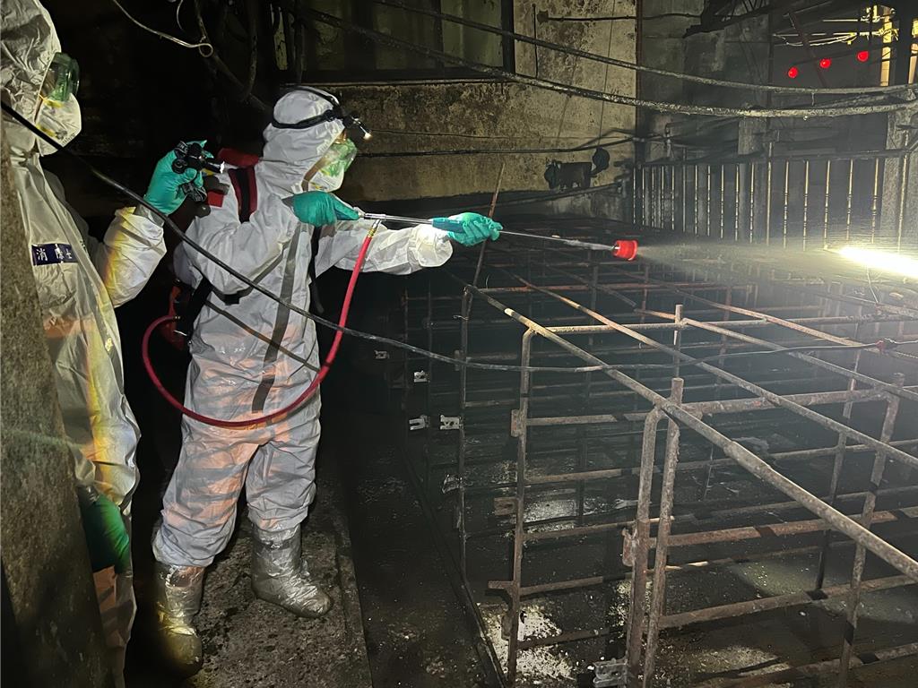 非洲豬瘟疫調指向未蒸煮廚餘還分送他場 中市府送檢調追查