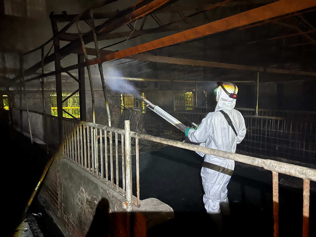 2天後解封有望！盧秀燕保證：8萬頭豬「全部零感染」