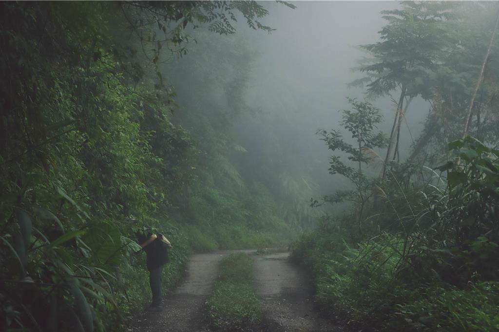 台東聲音藝術節登場 戴曉君帶觀眾跨域聽世界