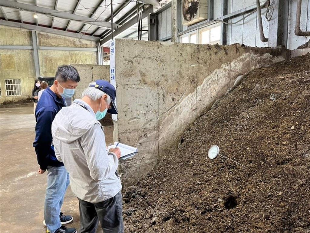 禁不禁?防疫兩難 苗栗黑豬「主要吃廚餘」縣府:待中央指示