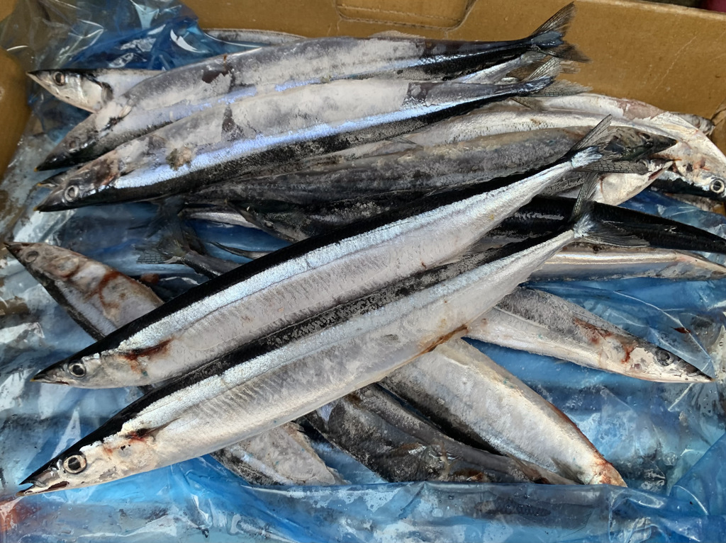 3種魚讓血糖不暴衝  營養師：一周至少吃2次