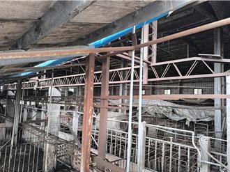 非洲豬瘟養豬場父子被收押　紀姓特約獸醫盼市府痛定思痛