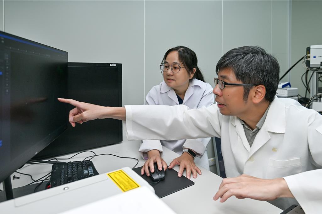 陽明交大揭纖毛生成之謎!提供遺傳疾病治療新方向