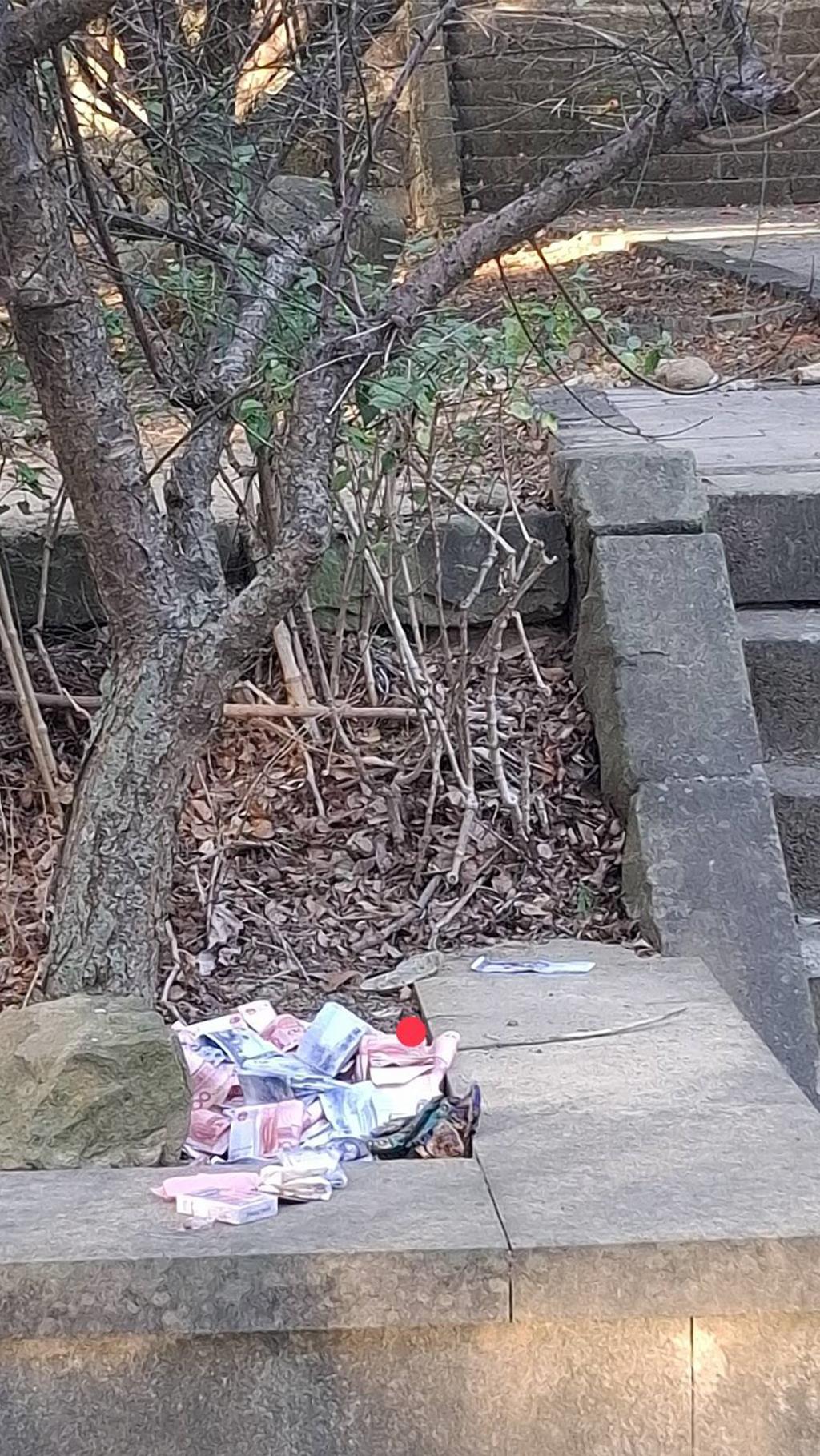 500萬金條、10萬現鈔丟棄苗栗貓裡山公園 失主曝光疑似「他」