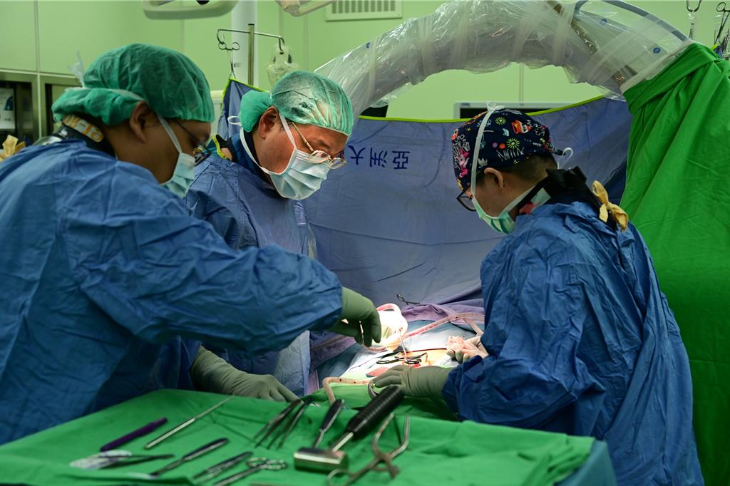 全國首開先例！亞大醫院培訓手術護理師「全額免費＋高額津貼」