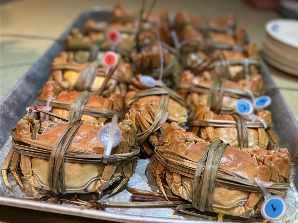 苗栗大閘蟹評鑑出爐 銅鑼蟹農奪特等獎 養殖秘訣大公開