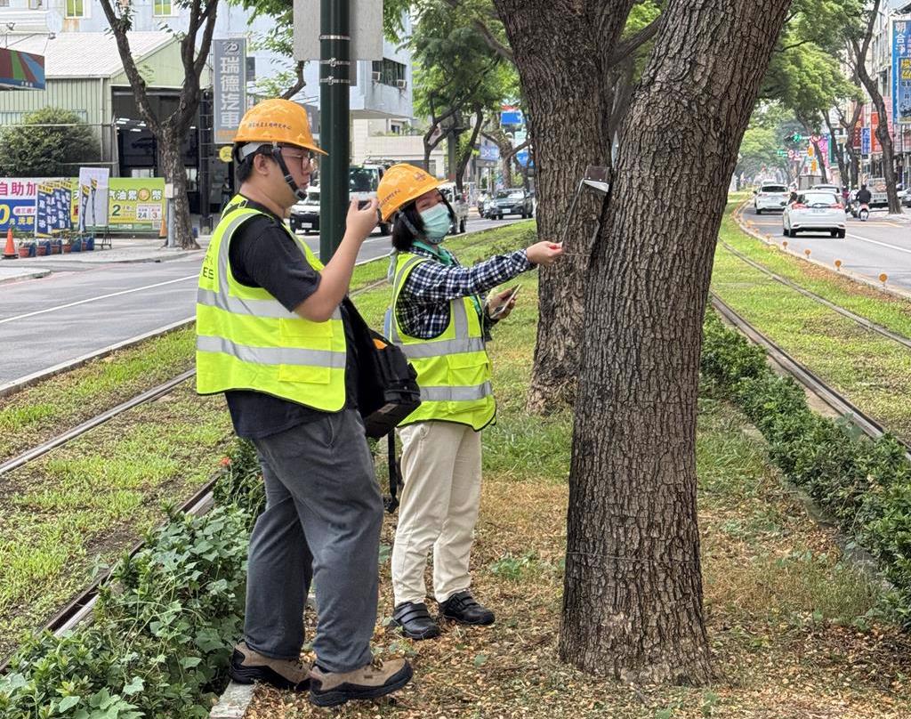 高雄輕軌導入AI傾斜儀!樹「歪」2.5度就預警