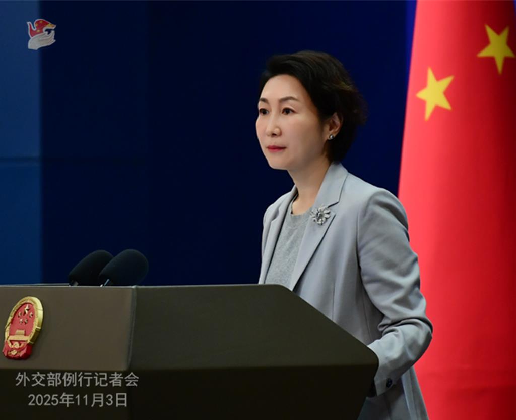 談上海進博會 陸外交部:與陸同行就是與機遇同行