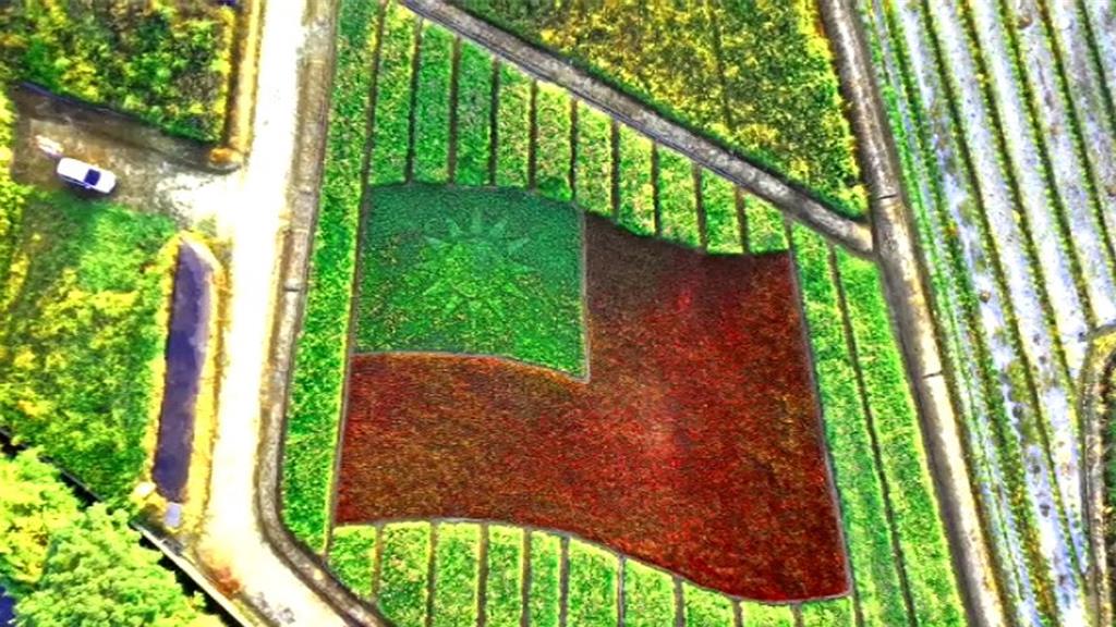 桃園擬打造「台版富良野」 張善政允委託興大、台大評估