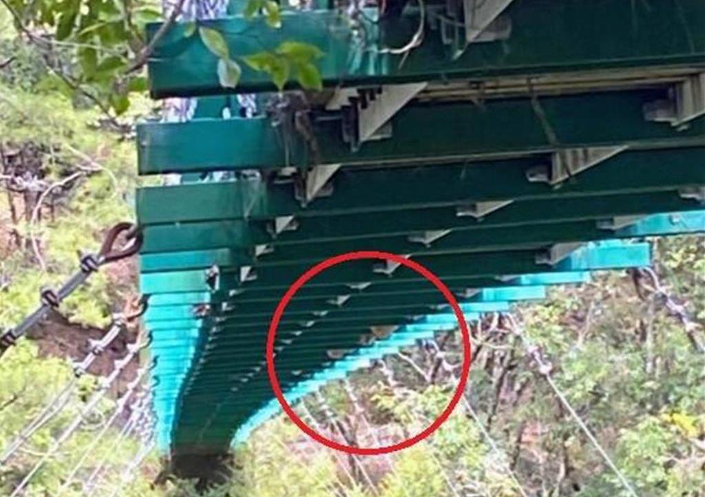 玉山巡查員遭虎頭蜂螫傷 瓦拉米大分吊橋下3蜂窩已摘除