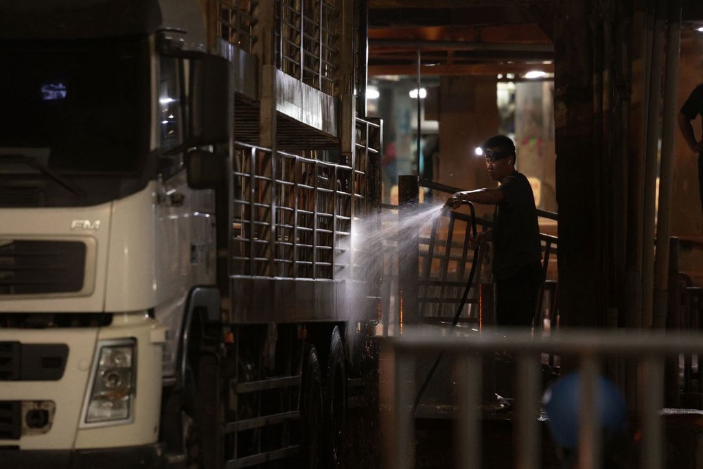 豬隻解禁恢復交易 豬價開紅盤 農業部:防疫不可鬆懈