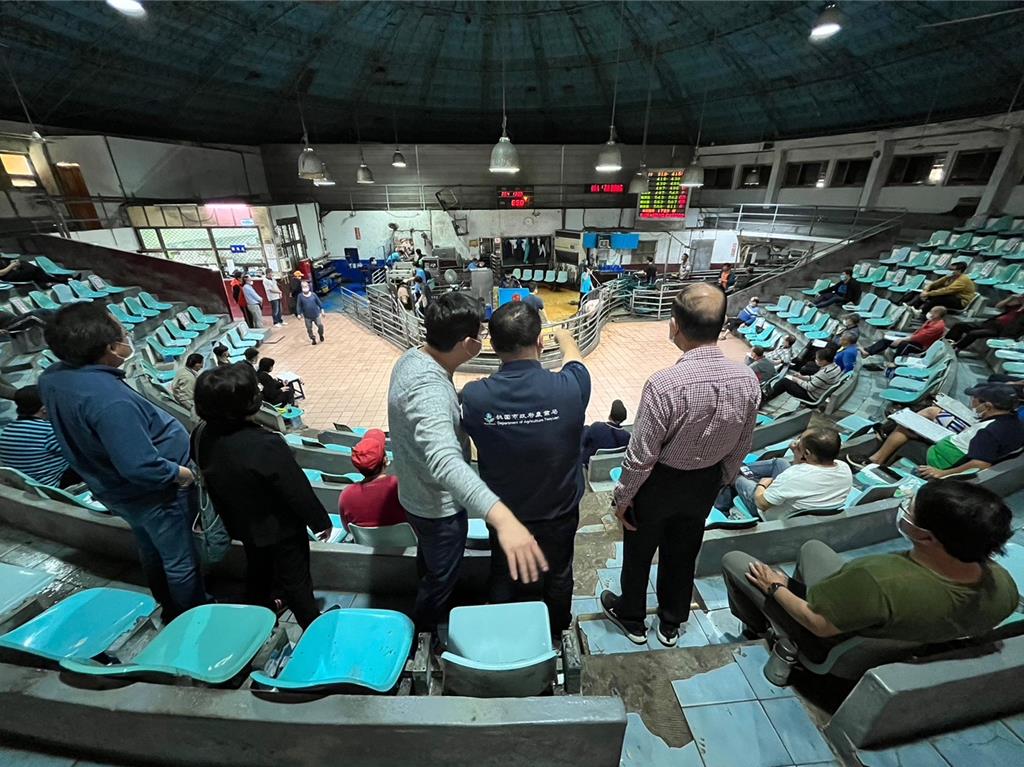 非洲豬瘟禁令解除 桃園首日拍賣2573頭豬、價格平穩無哄抬