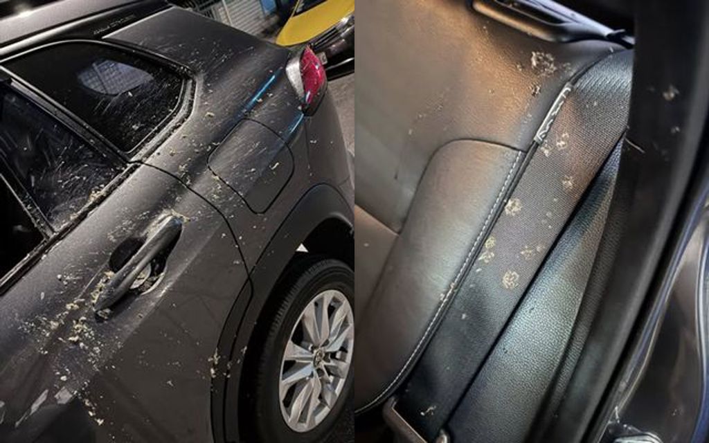 醉客嘔吐「噴整車蛋花」 運將收3千清潔費嘆：不心疼嗎