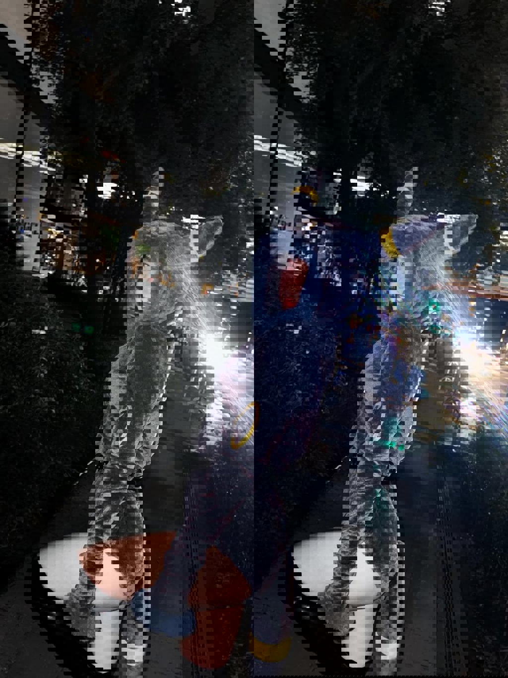 啦啦隊女神扮演寶可夢裡面的月亮伊布。(圖/IG@evollove_c)