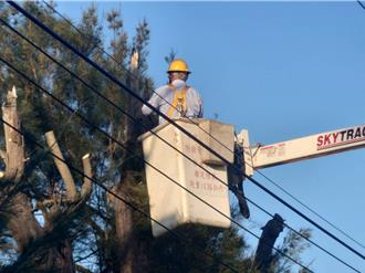 備戰「鳳凰」襲金 台電全力動員整備防颱