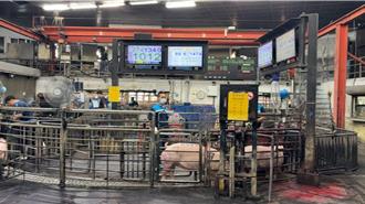 雲林肉品市場豬價衝破102元 冷凍商搶補貨 立冬後「穩中帶漲」