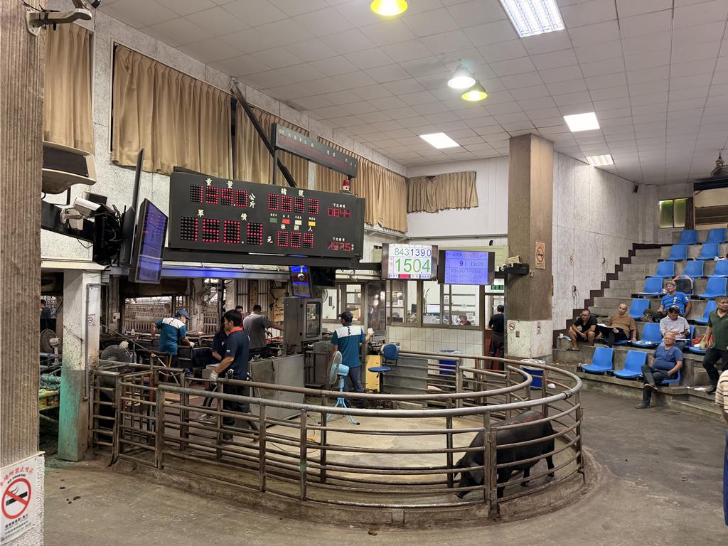 苗栗黑豬價每公斤135.3元創全國最高 縣府:下周回穩