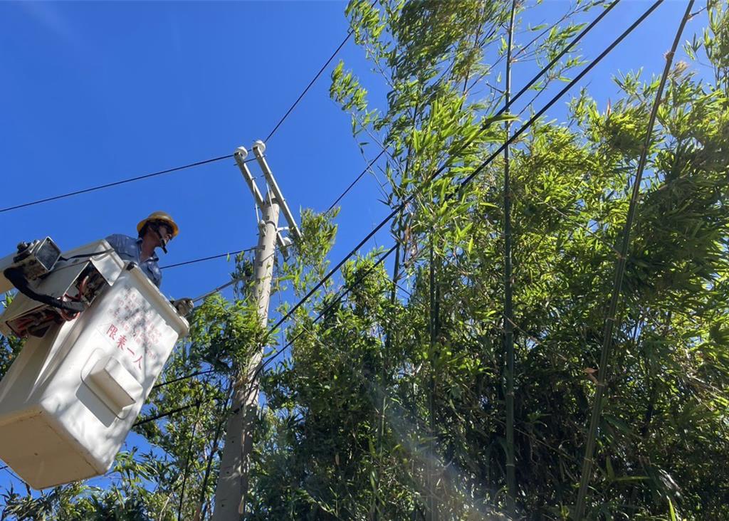 鳳凰颱風逼近 台電動員4千人整備待命