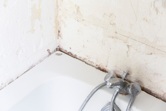 台北旅館一晚3千「浴缸長香菇」 知名DJ給2提示避踩雷