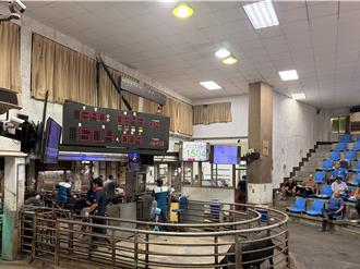 苗栗黑豬價每公斤135.3元創全國最高 縣府：下周回穩