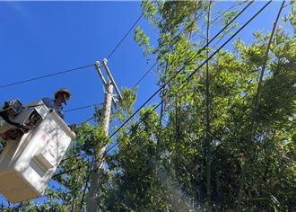 鳳凰颱風逼近 台電動員4千人整備待命