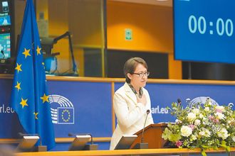 蕭美琴歐洲議會演講？他揭綠營套路 網秒懂：像直銷大會