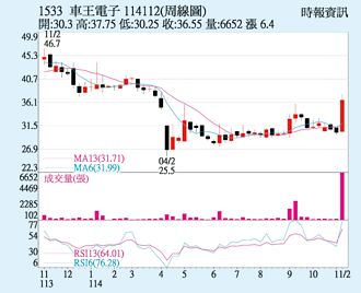 車王電 前十月營收靚