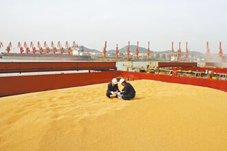 陸宣布 解除稀土大豆禁令一年