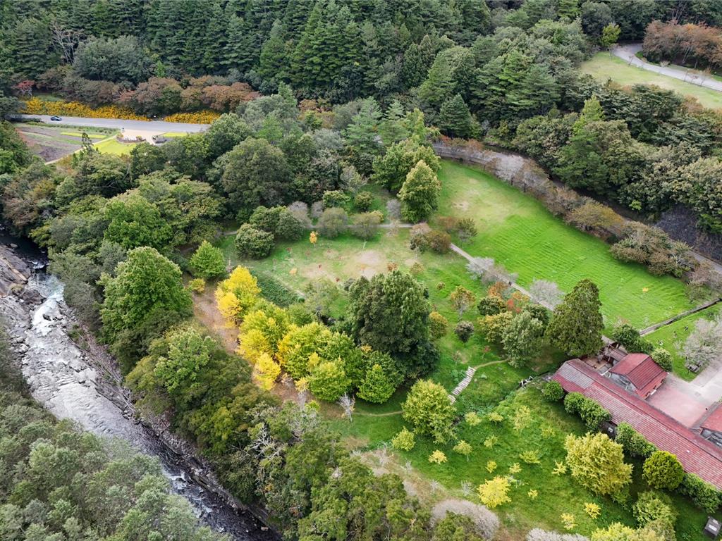 鳳凰來襲 武陵農場明下午2時起休園 遊客暫緩上山