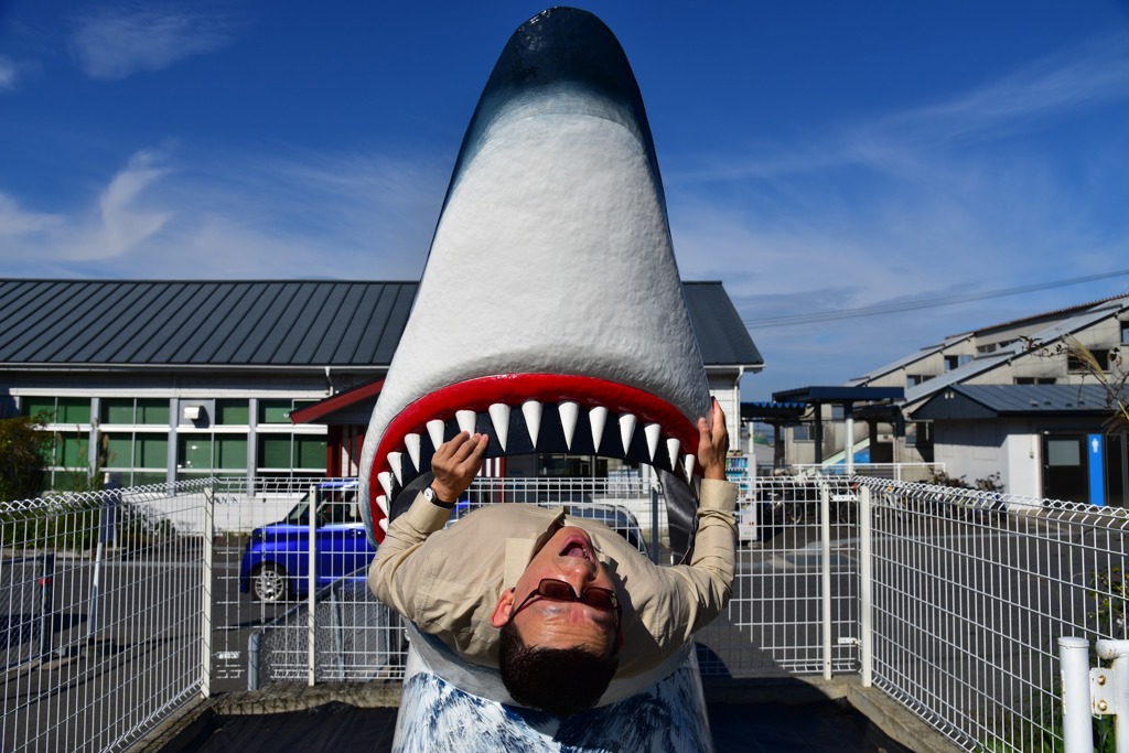 本文文字、圖片作者東尼叔。(東尼叔提供)